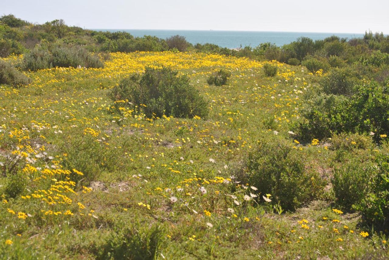 Stay At Bokkoms In Paternoster Self Catering Accommodation מראה חיצוני תמונה