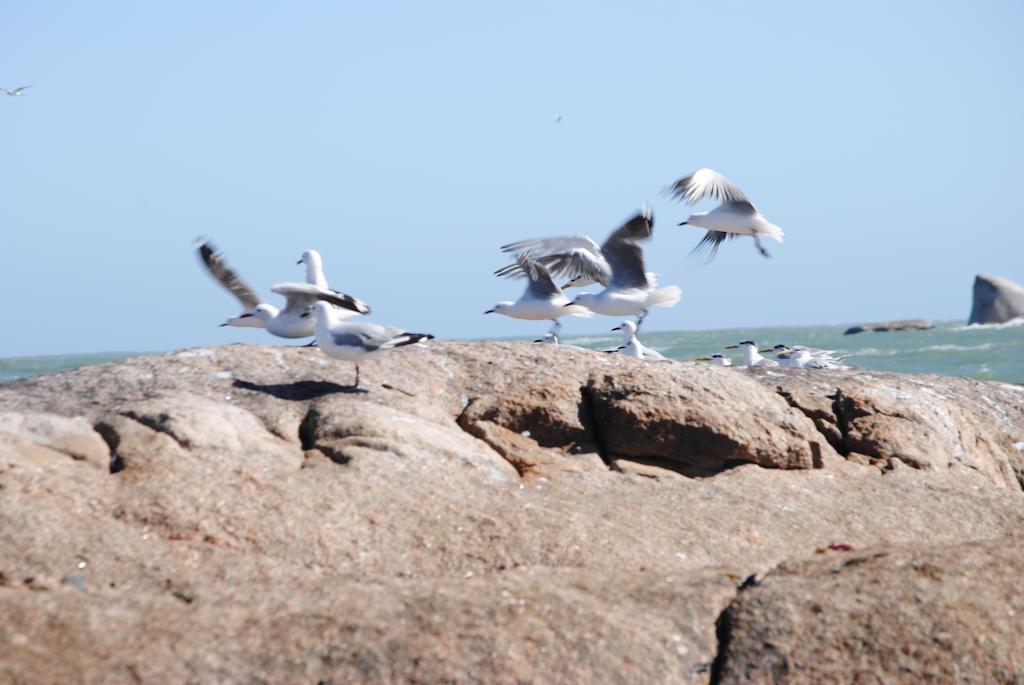 Stay At Bokkoms In Paternoster Self Catering Accommodation מראה חיצוני תמונה